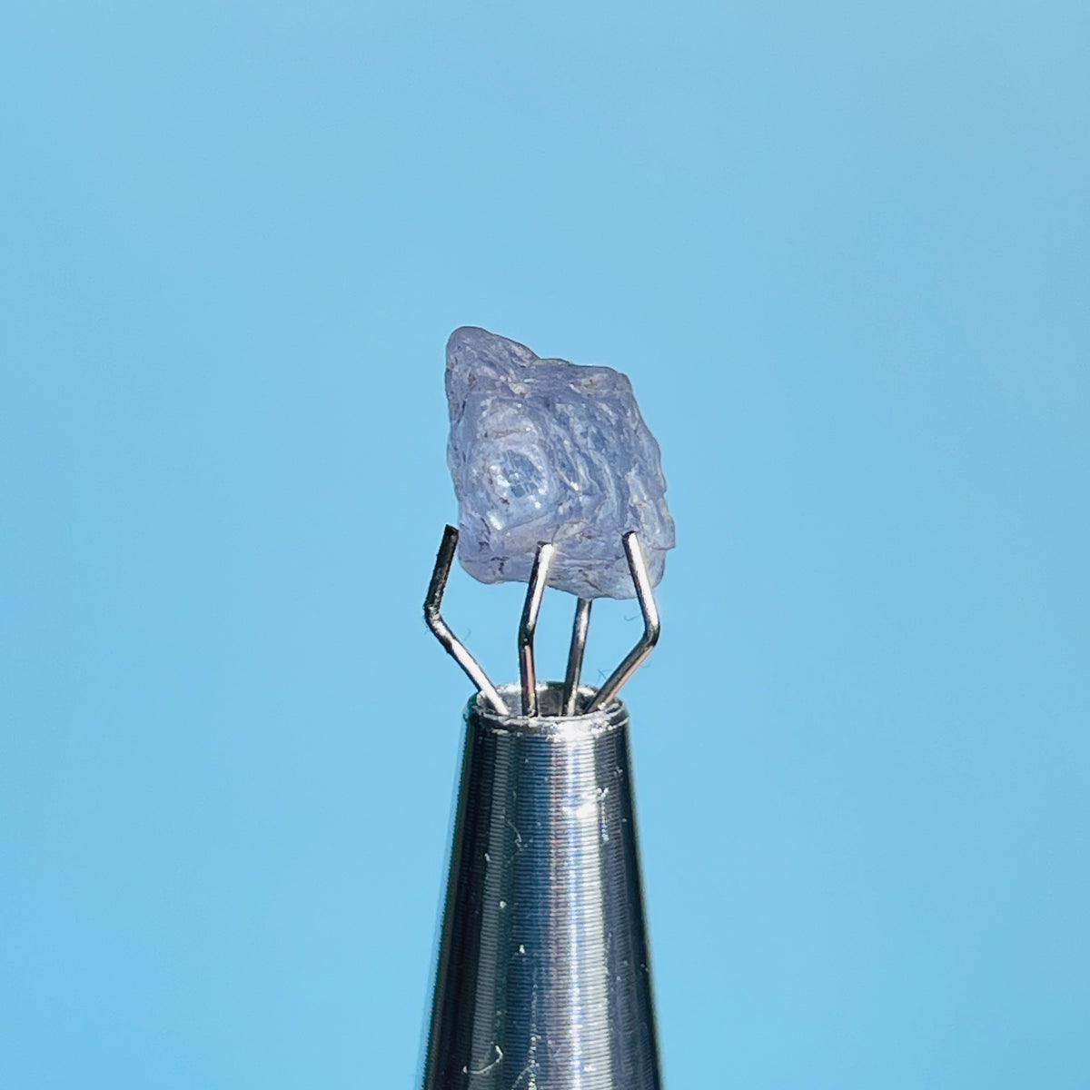 Tanzanite Mini Crystal in Specimen Pottle (Video)
