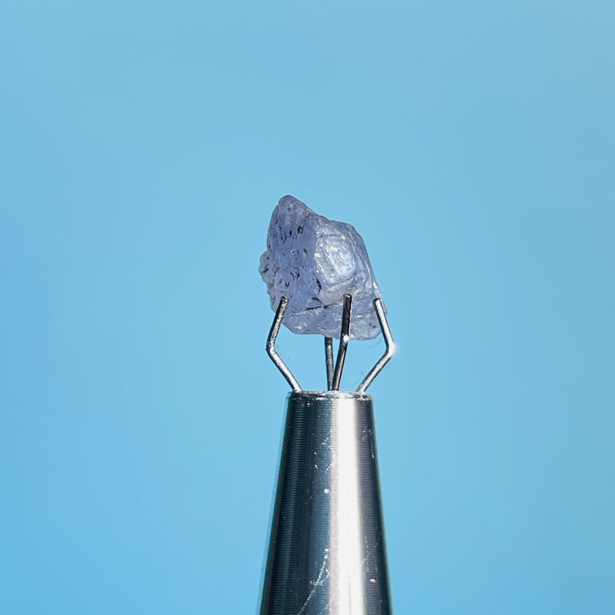 Tanzanite Mini Crystal in Specimen Pottle (Video)