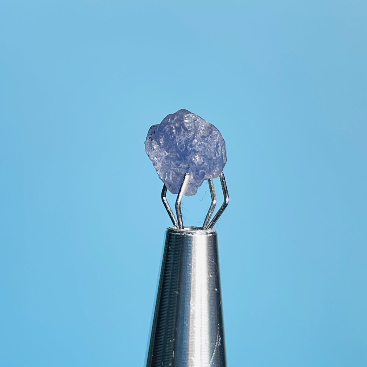 Tanzanite Mini Crystal in Specimen Pottle (Video)