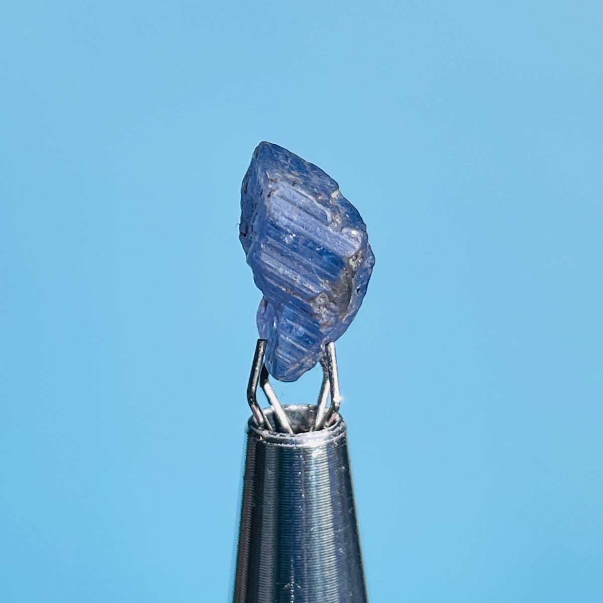 Tanzanite Mini Crystal in Specimen Pottle (Video)