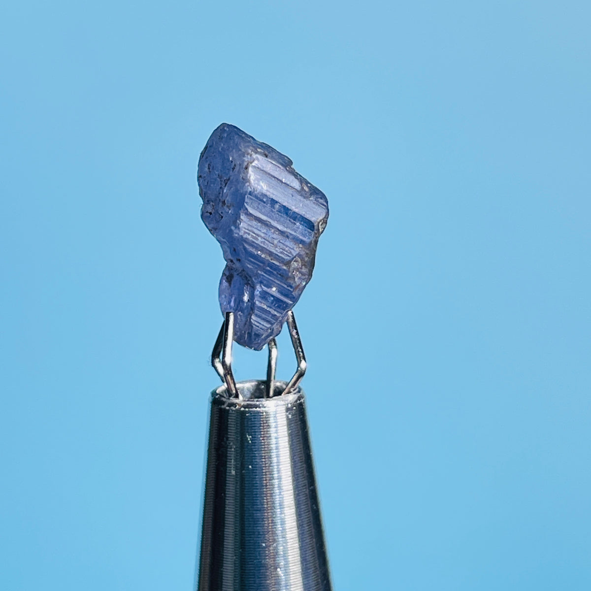 Tanzanite Mini Crystal in Specimen Pottle (Video)