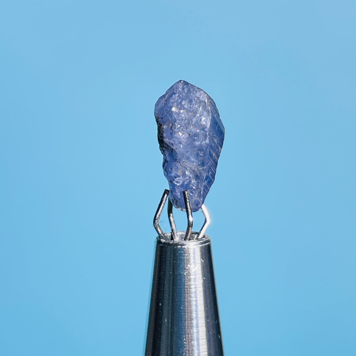 Tanzanite Mini Crystal in Specimen Pottle (Video)