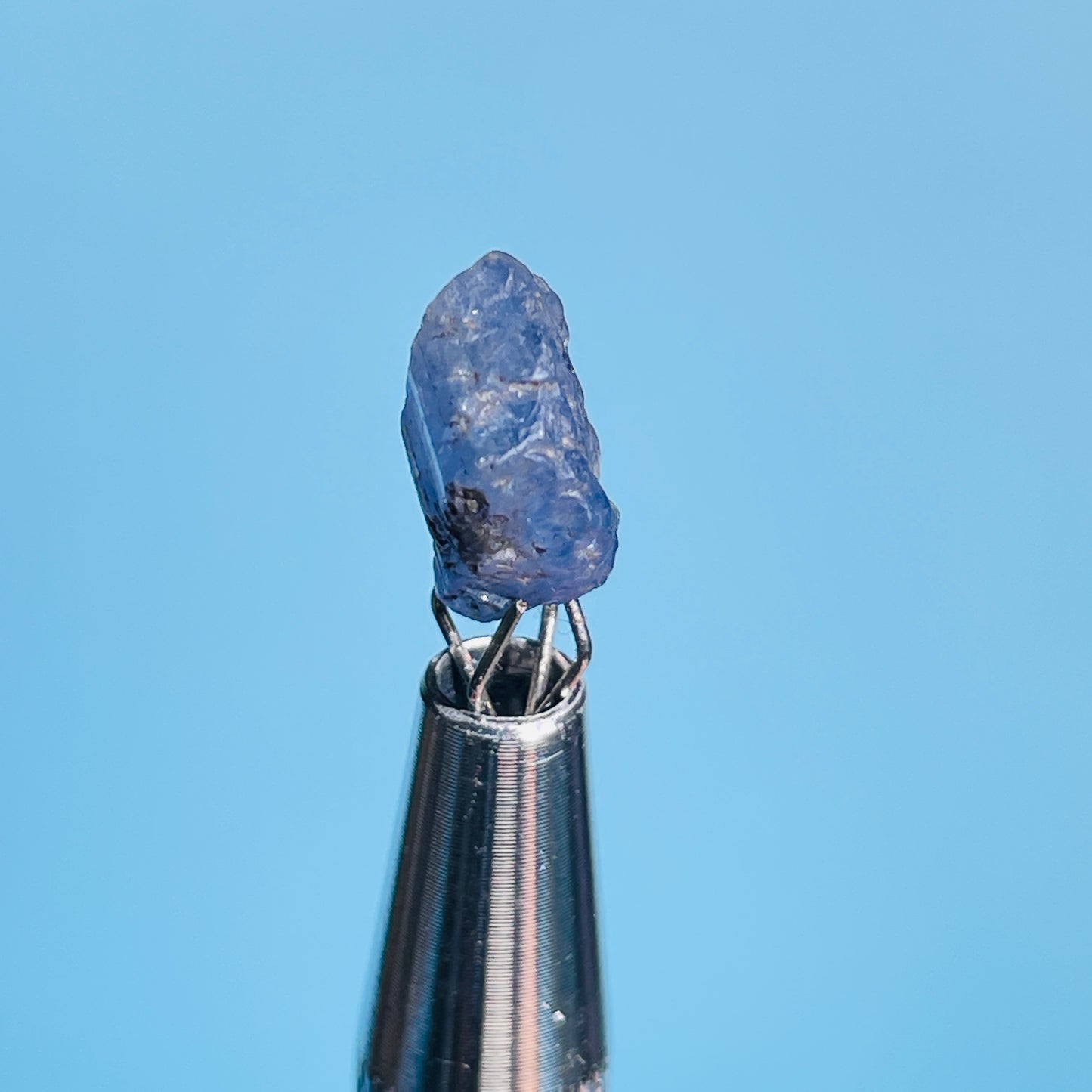 Tanzanite Mini Crystal in Specimen Pottle (Video)