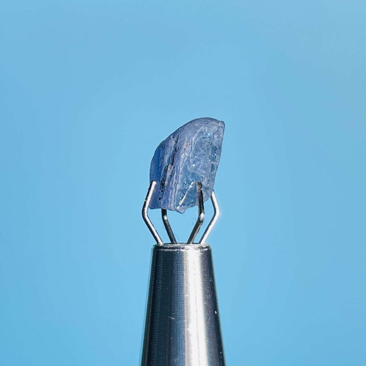 Tanzanite Mini Crystal in Specimen Pottle (Video)