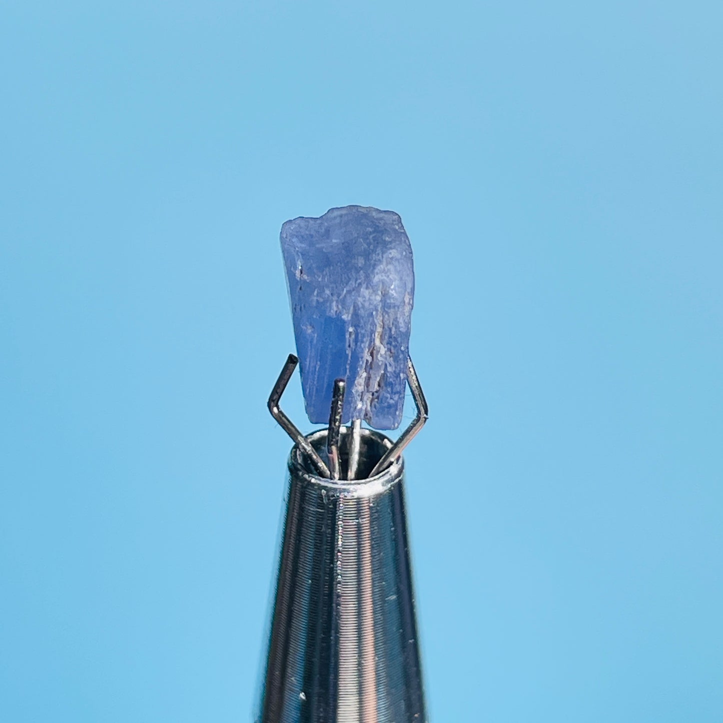 Tanzanite Mini Crystal in Specimen Pottle (Video)