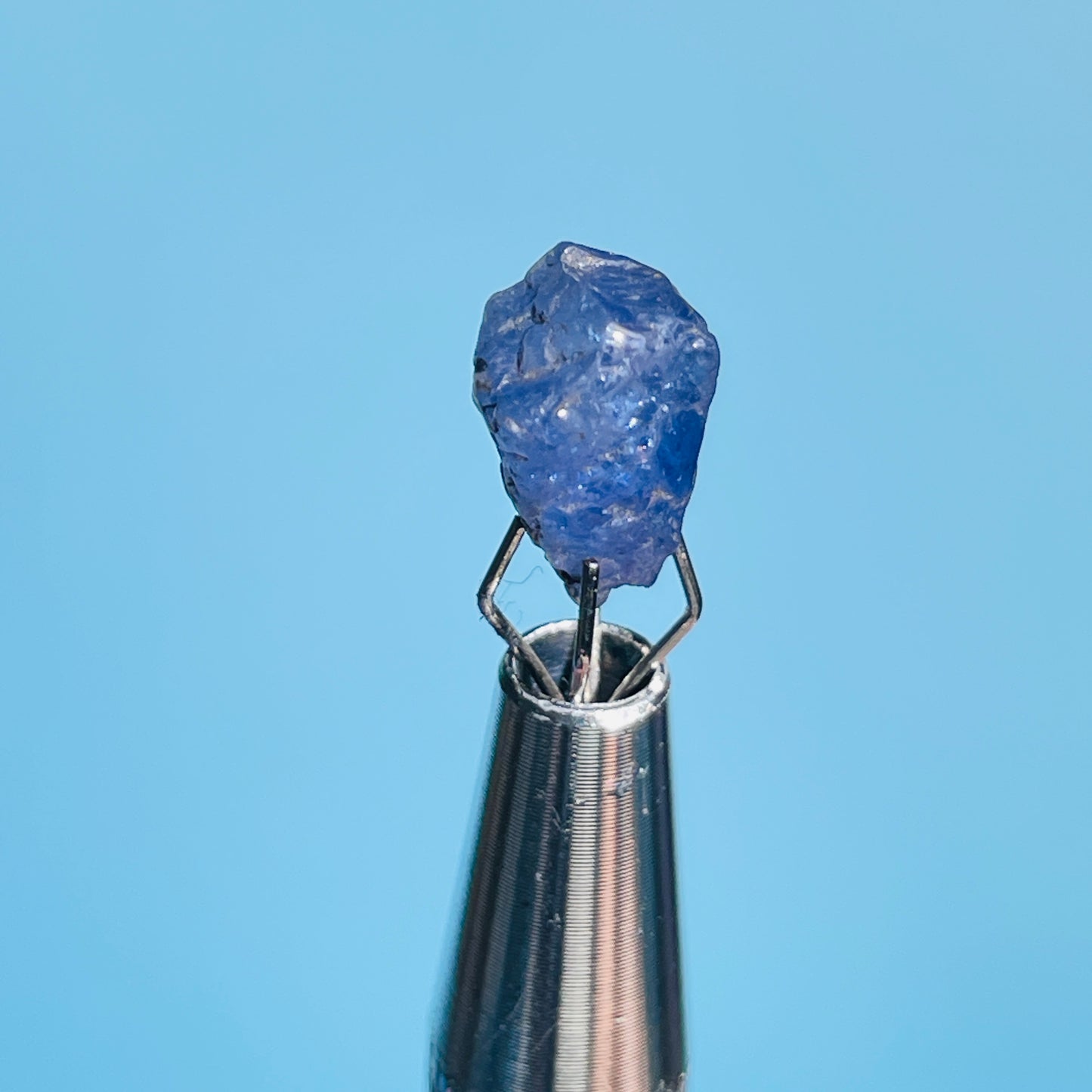 Tanzanite Mini Crystal in Specimen Pottle (Video)