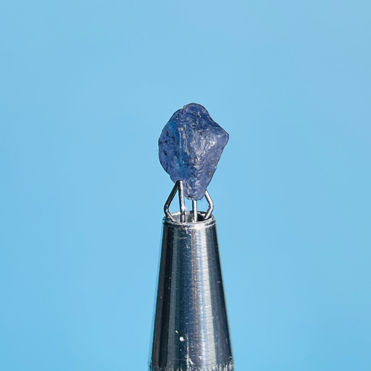 Tanzanite Mini Crystal in Specimen Pottle (Video)