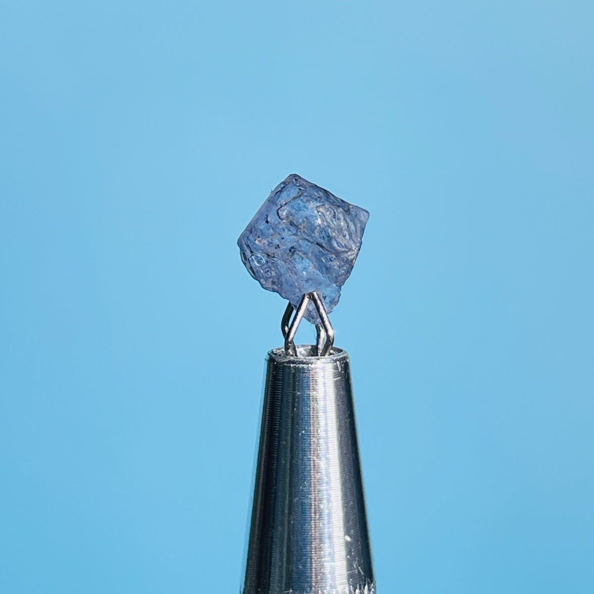 Tanzanite Mini Crystal in Specimen Pottle (Video)