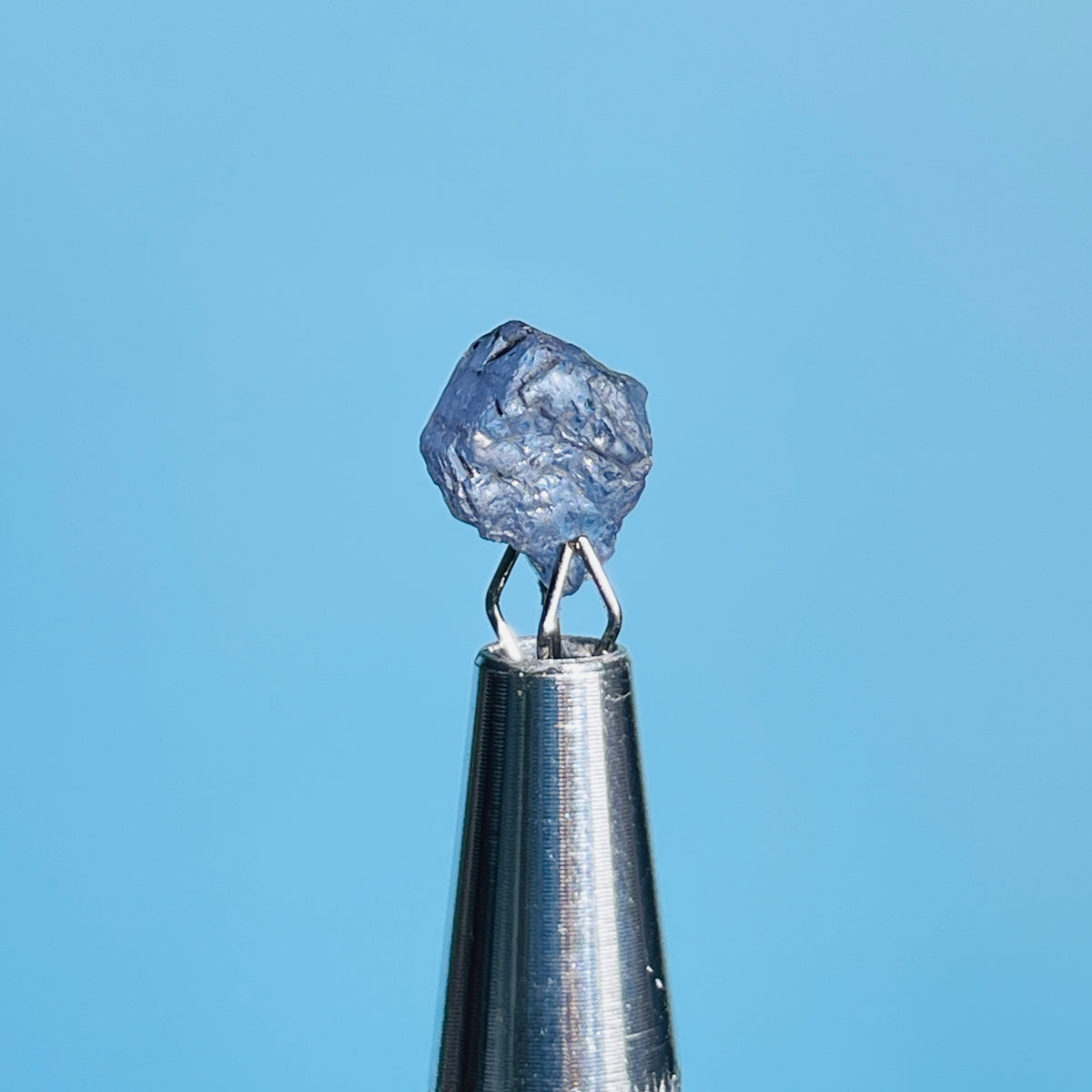 Tanzanite Mini Crystal in Specimen Pottle (Video)