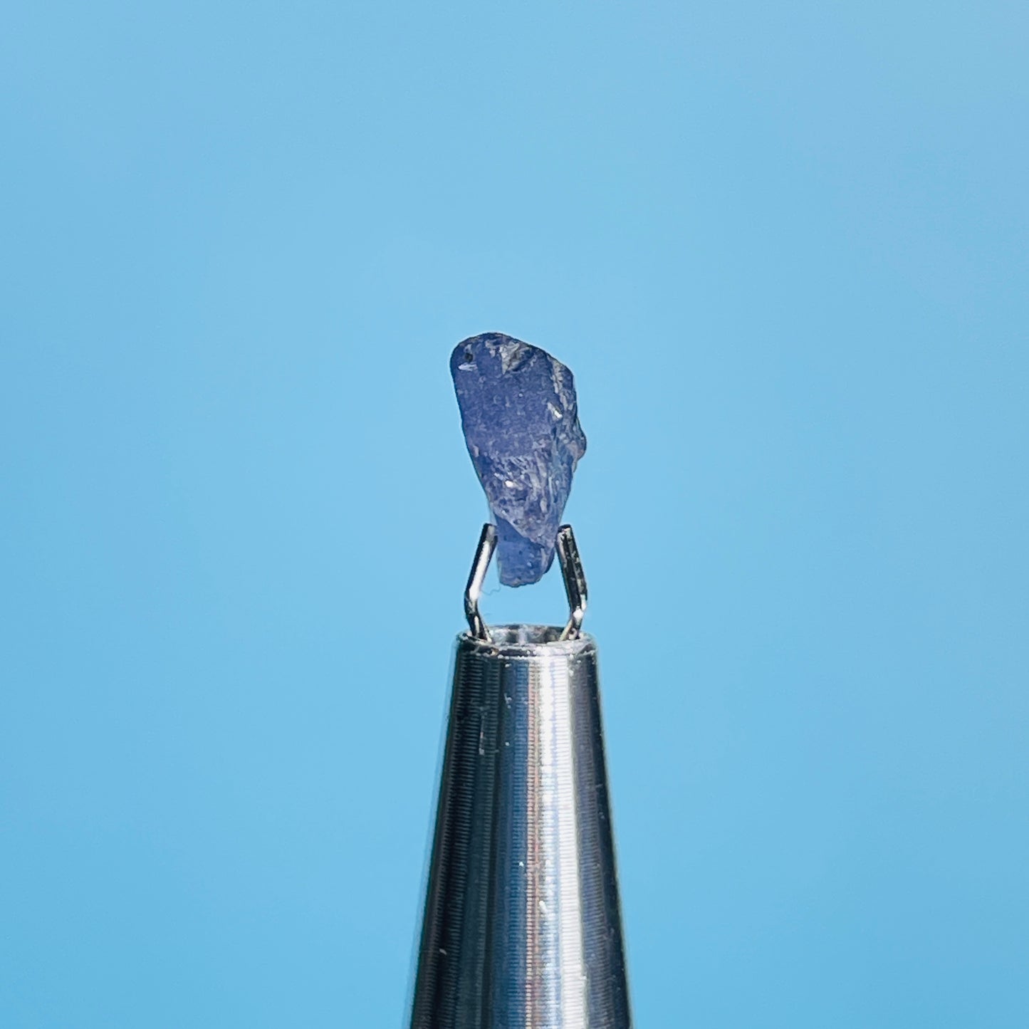 Tanzanite Mini Crystal in Specimen Pottle (Video)