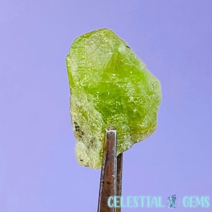 Peridot Mini Crystal Specimen G