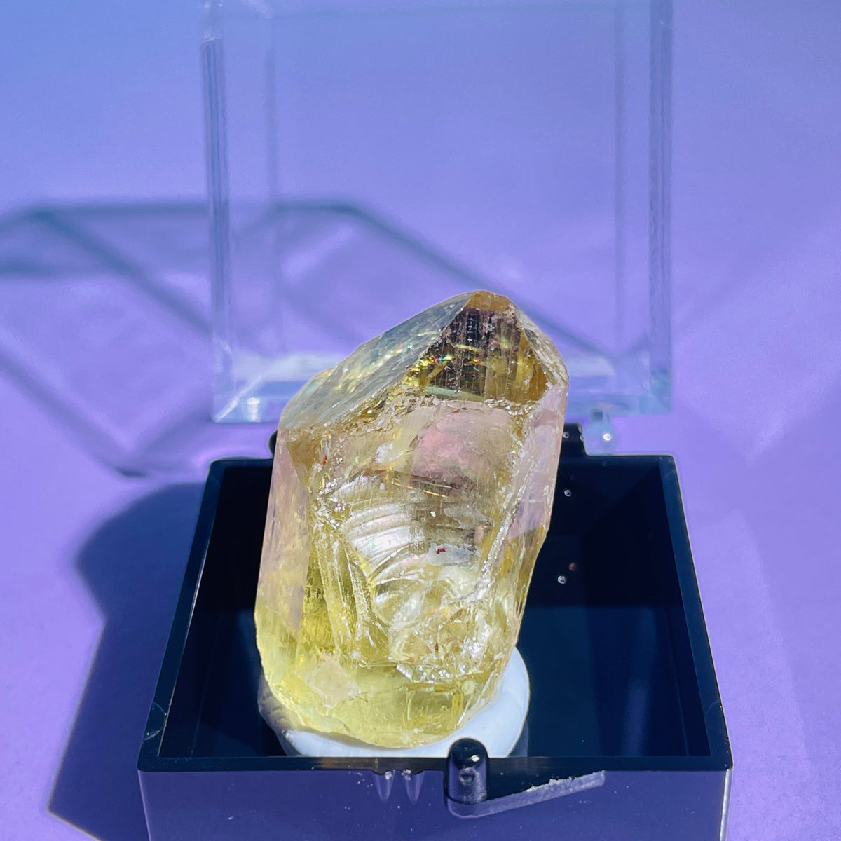 RARE Yellow Apatite Crystal Specimen (Video)
