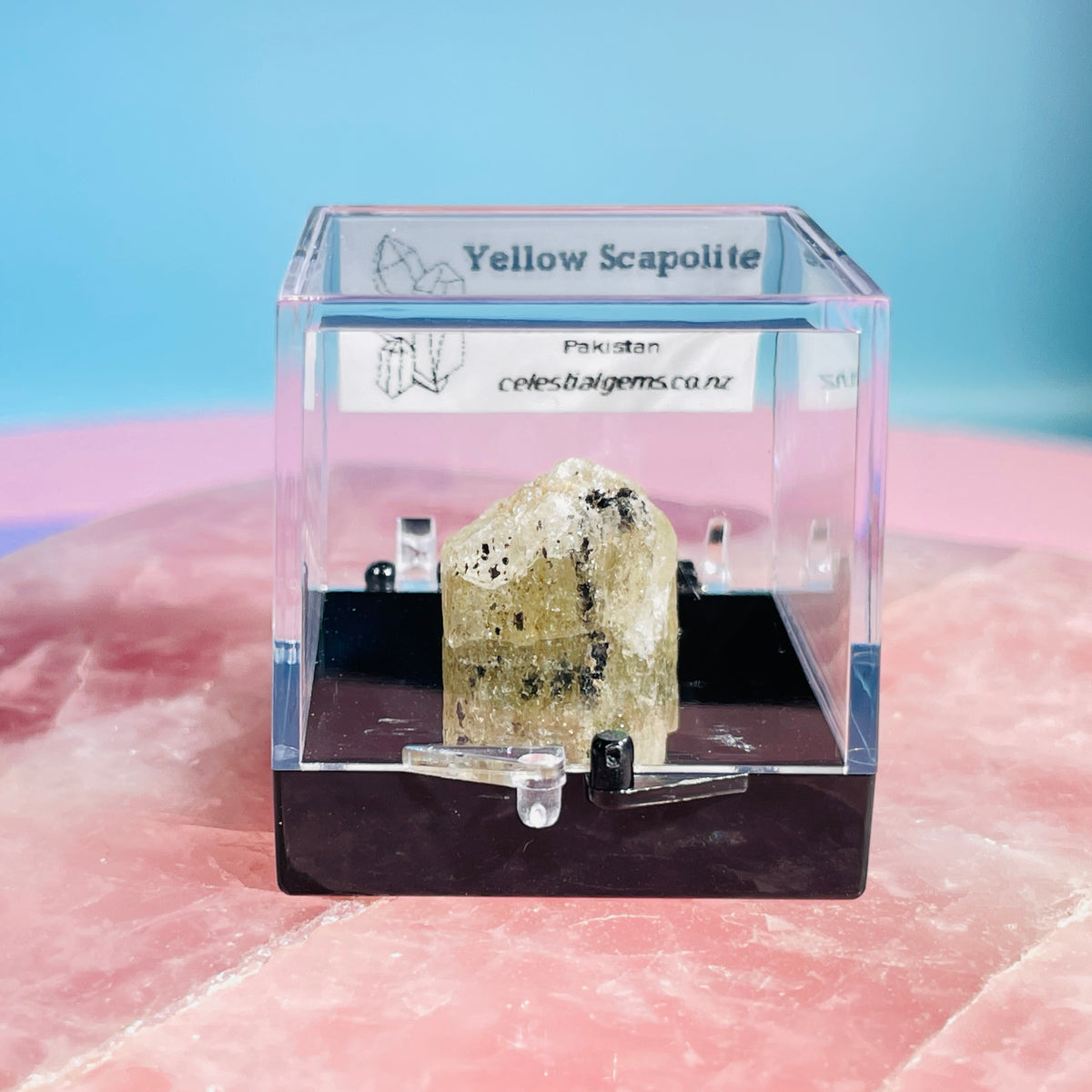 Yellow Scapolite Crystal Specimen in Box