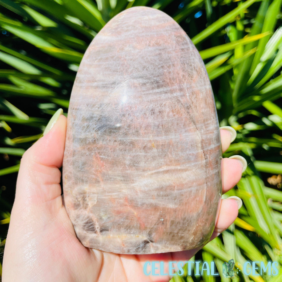 Black Moonstone Flashy Large Freeform (Video)