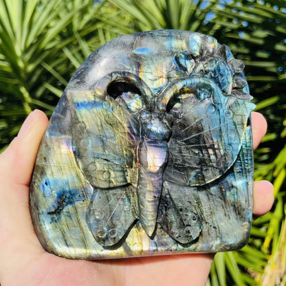 Labradorite Butterfly Carving on a Medium Freeform (Video)