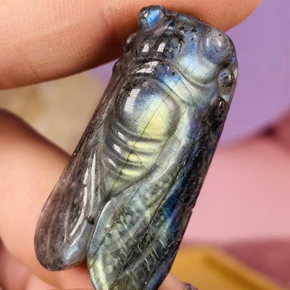 Labradorite Cicada Small Carving (Flashy!)