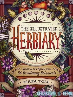 The Illustrated Herbiary Book by Maia Toll (Includes 36 Botanical Oracle Cards)
