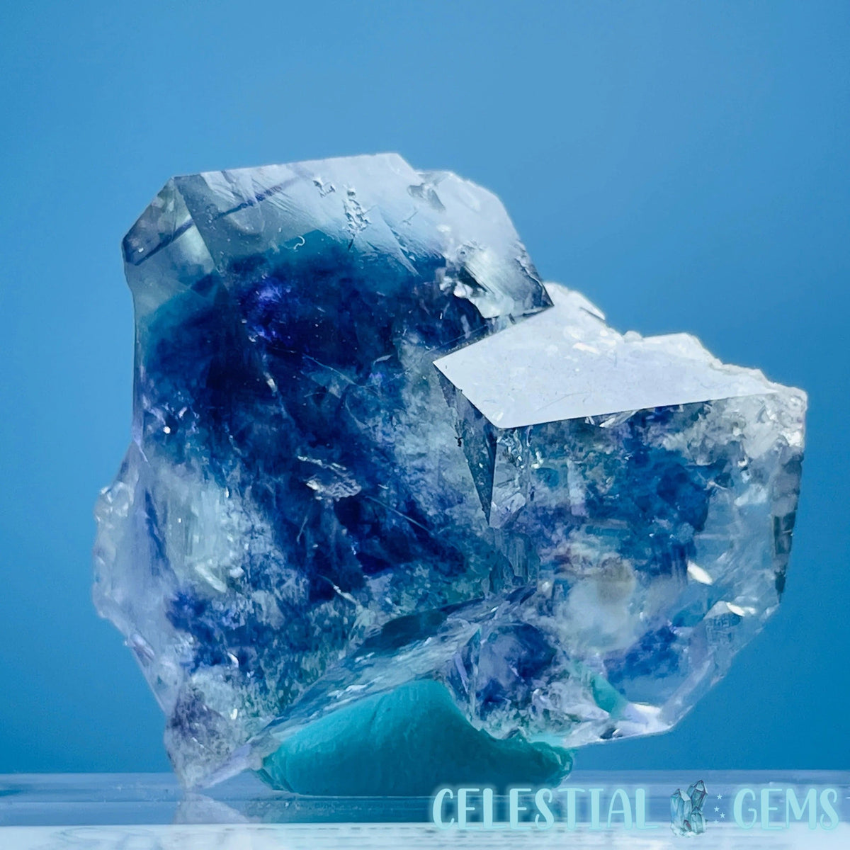 15% Off Fossils and Minerals
