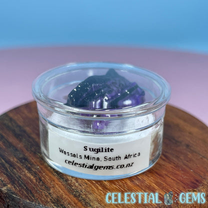 Rare Sugilite Raw Mini Crystal in Specimen Pottle