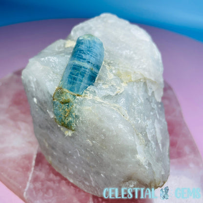 Aquamarine Specimen in Smoky Quartz Large Raw Chunk