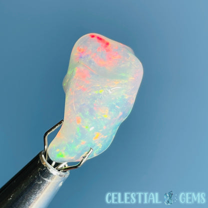 AAA Ethiopian 'Fire' Welo Opal Polished Mini Crystal in Specimen Pottle (Video)