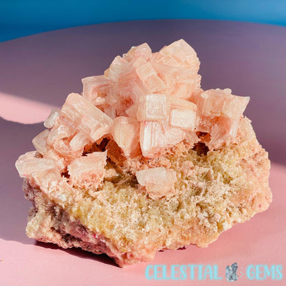 Rare Pink Halite on Trona Medium Specimen