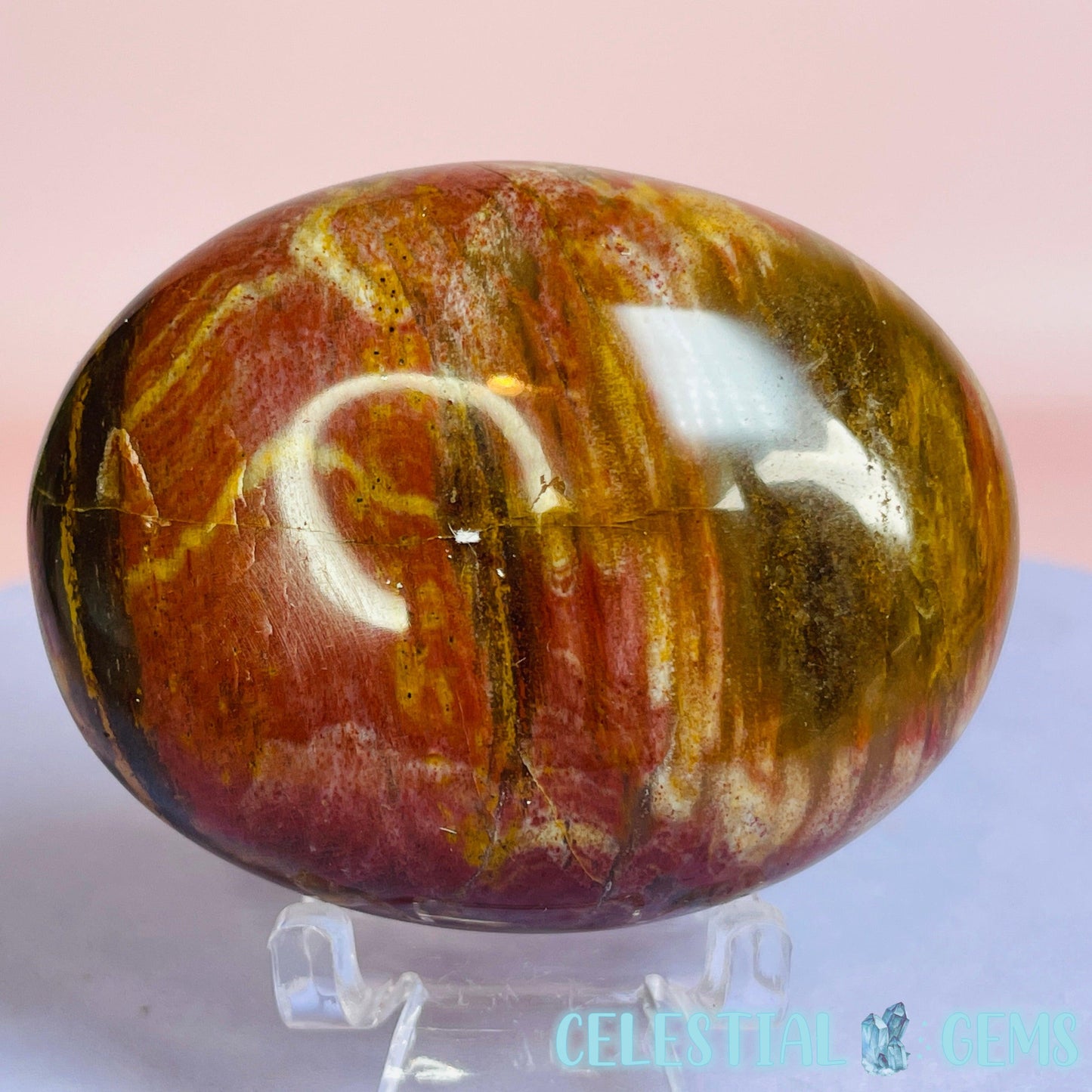 Petrified Wood Palmstone 6-7cm