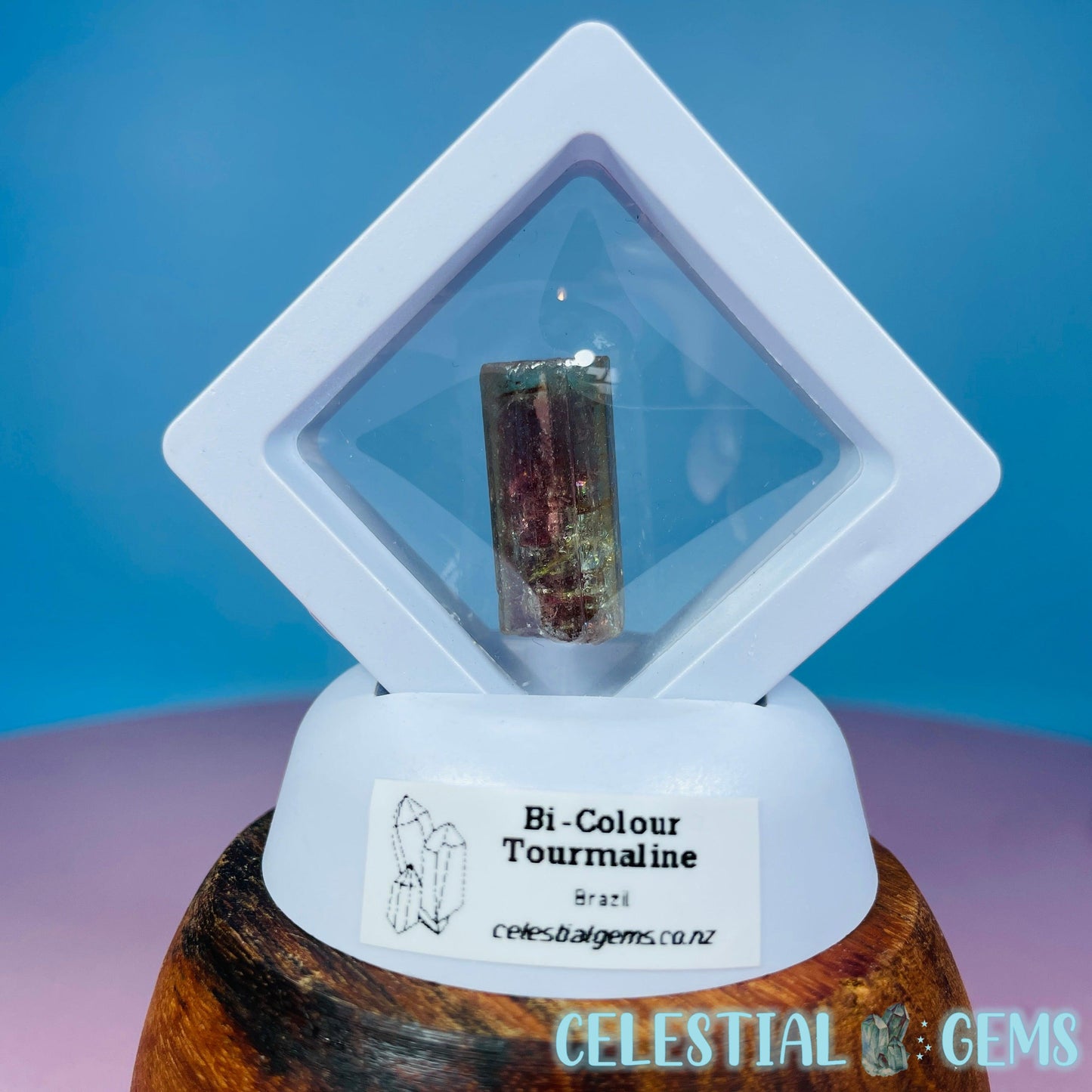 Watermelon Tourmaline Whole Crystal Mini Specimen in Display Frame (Video)