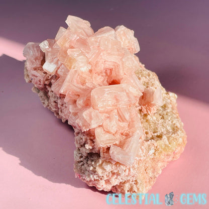 Rare Pink Halite on Trona Medium Specimen