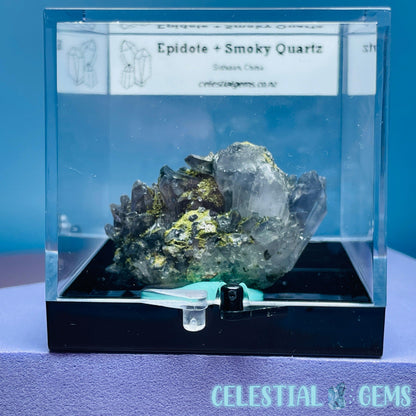 Epidote + Smoky Quartz Small Cluster Specimen