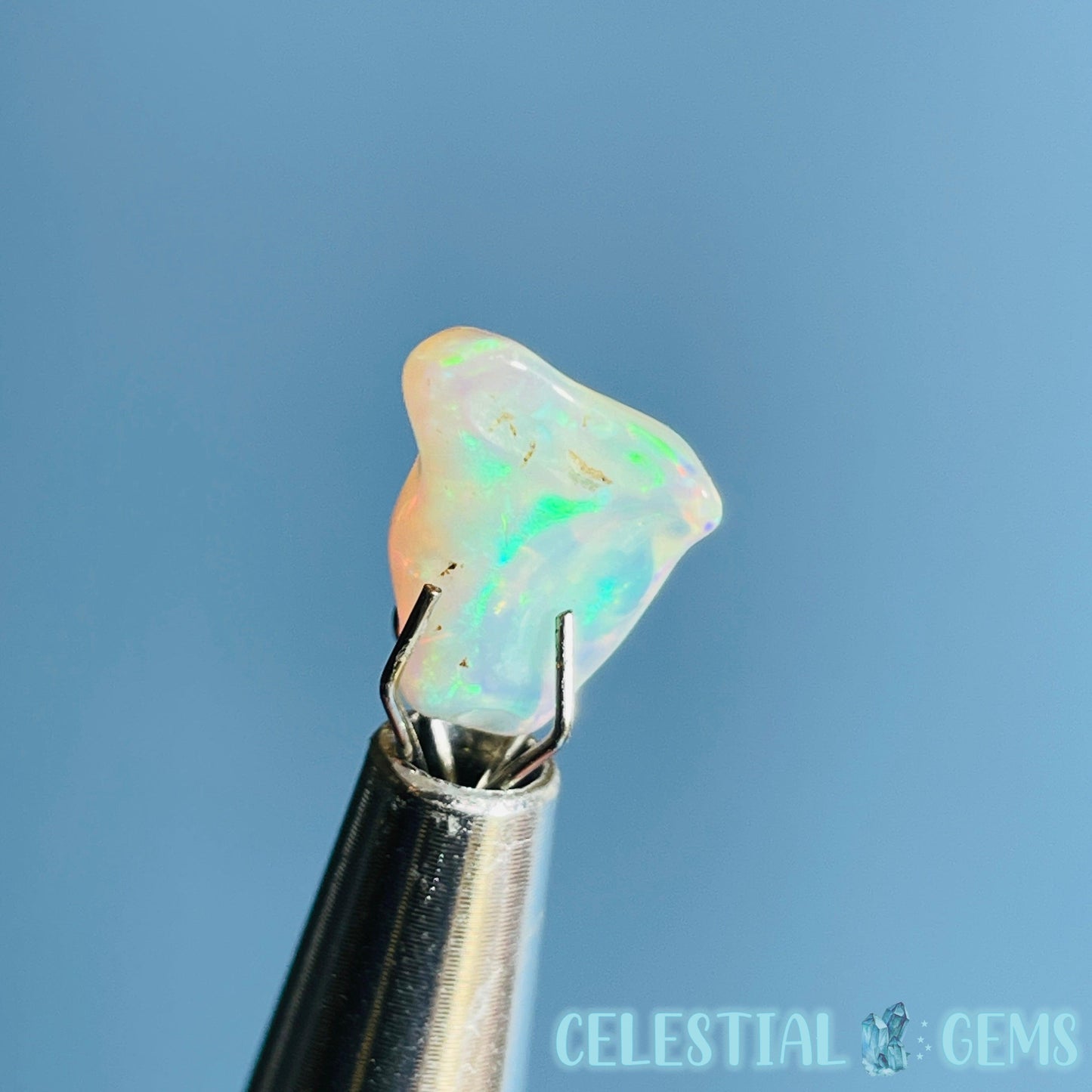 AAA Ethiopian 'Fire' Welo Opal Polished Mini Crystal in Specimen Pottle (Video)