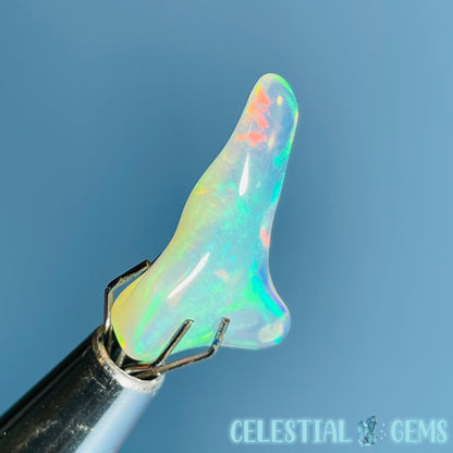 AAA Ethiopian 'Fire' Welo Opal Polished Mini Crystal in Specimen Pottle (Video)