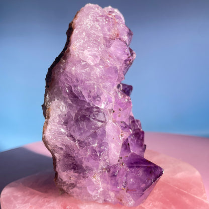 Dark Amethyst Medium Standing Cluster (Video)