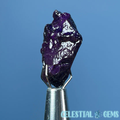 Rare Sugilite Raw Mini Crystal in Specimen Pottle