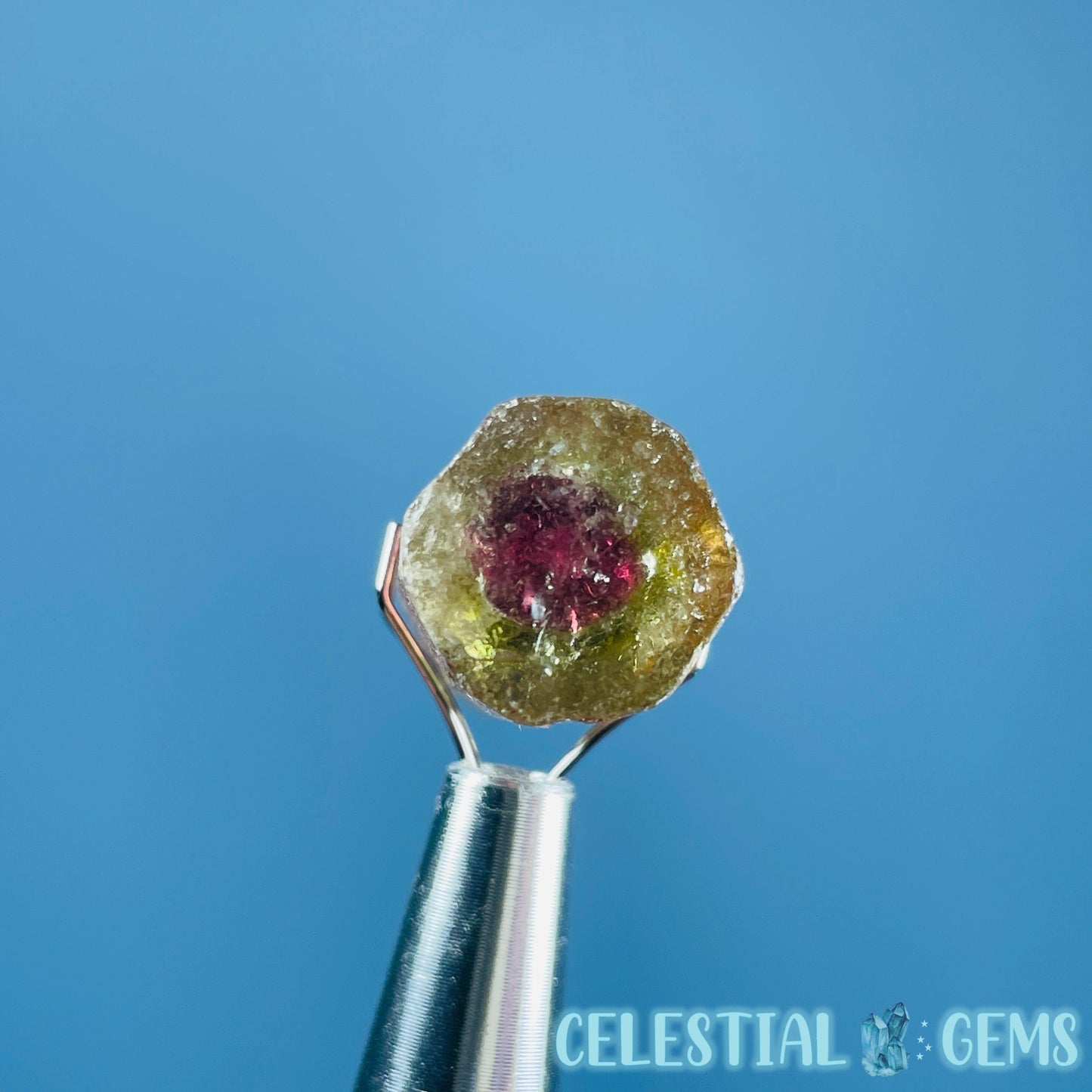 Watermelon Tourmaline Whole Crystal Mini Specimen in Display Frame (Video)