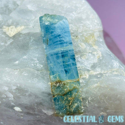 Aquamarine Specimen in Smoky Quartz Large Raw Chunk