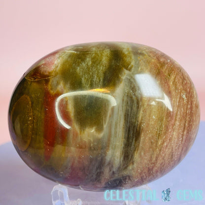 Petrified Wood Palmstone 6-7cm