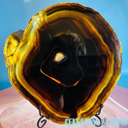 Natural Black Agate Large Polished Slice