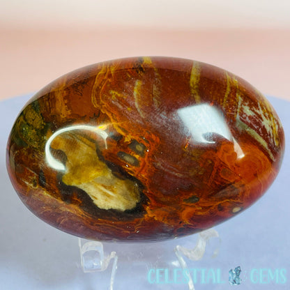 Petrified Wood Palmstone 5-5.5cm