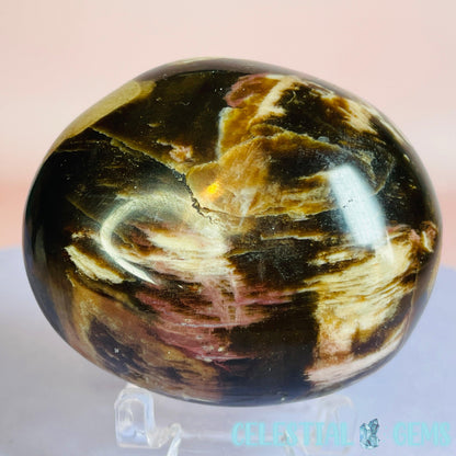 Petrified Wood Palmstone 5-5.5cm