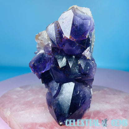 Dark Amethyst Medium Cluster Freeform