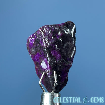 Rare Sugilite Raw Mini Crystal in Specimen Pottle