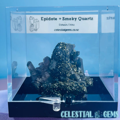 Epidote + Smoky Quartz Small Cluster Specimen