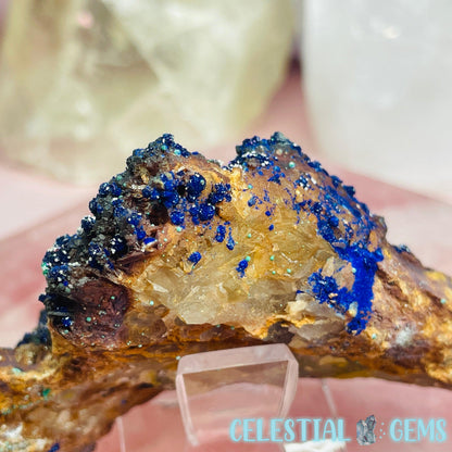 Druzy Azurite + Dolomite Small Specimen D