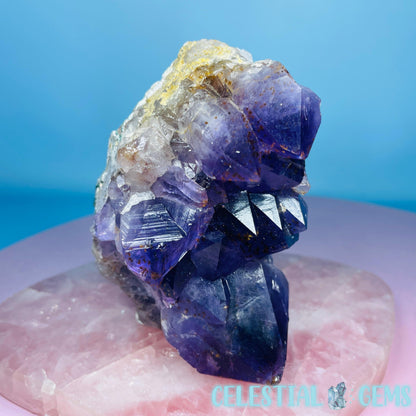 Dark Amethyst Medium Cluster Freeform