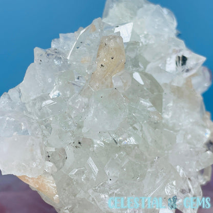 A Grade Diamond Apophyllite + Peach Stilbite Medium Cluster