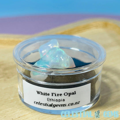 AAA Ethiopian 'Fire' Welo Opal Polished Mini Crystal in Specimen Pottle (Video)