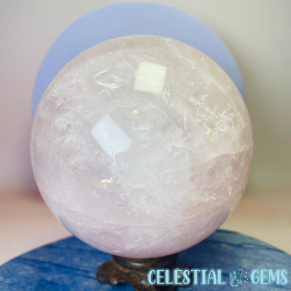 High Grade Rose Quartz Large Sphere C (Star Flash!)