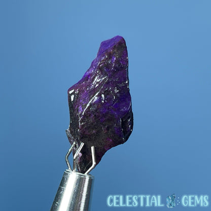 Rare Sugilite Raw Mini Crystal in Specimen Pottle