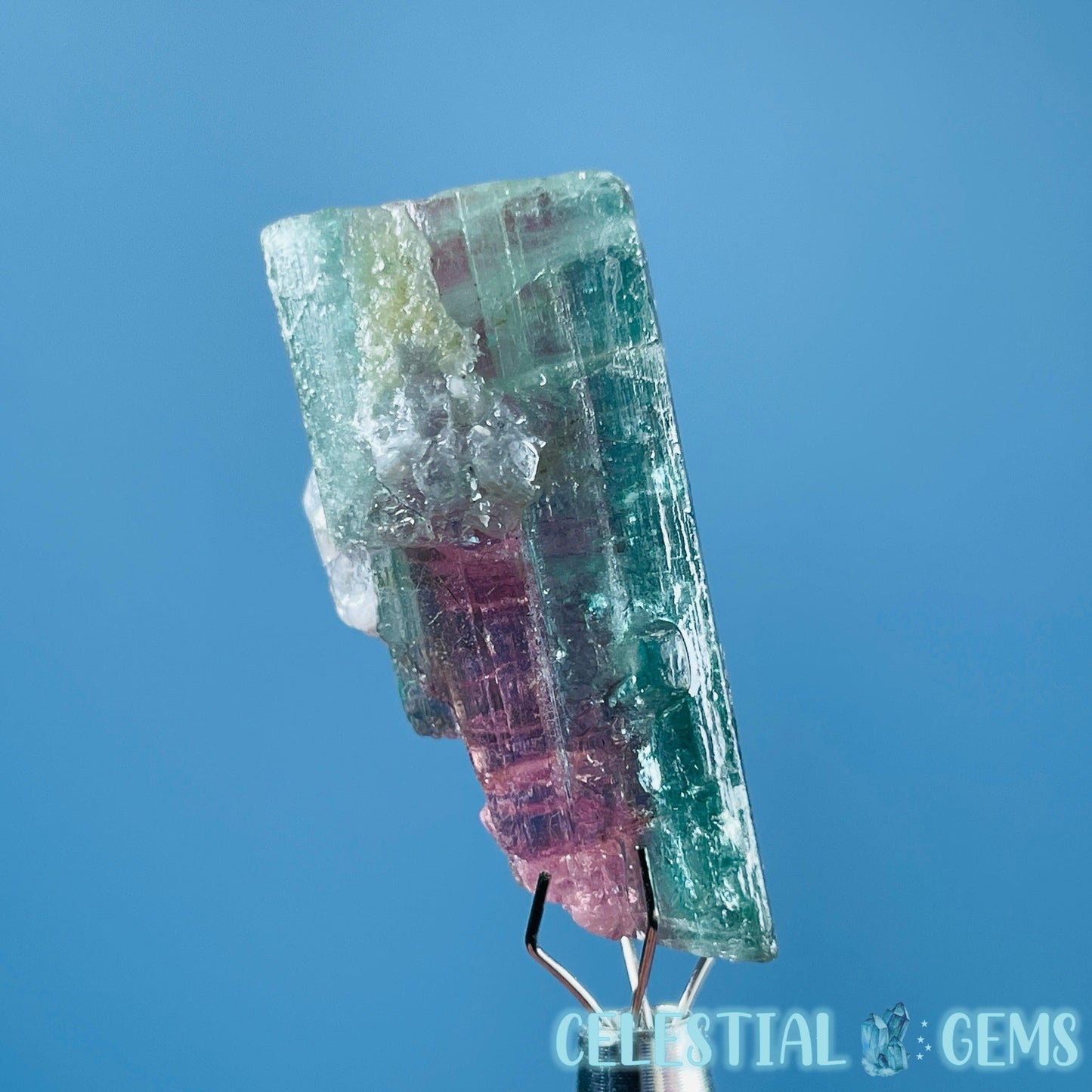 Cotton Candy Tourmaline Whole Crystal Small Specimen in Display Frame